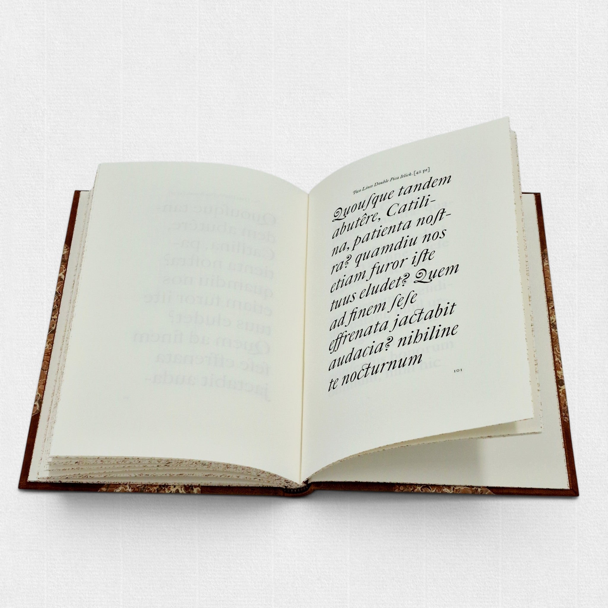 Spine detail of The Revival of Caslon Types, showing gilt tooling, leather binding, and hand-marbled edges.